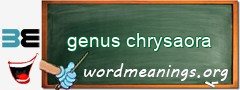 WordMeaning blackboard for genus chrysaora